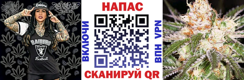 Марихуана SATIVA & INDICA  дарнет шоп  Оренбург 